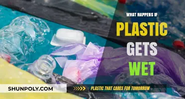 What Happens When Plastic Gets Wet: Surprising Effects Explained
