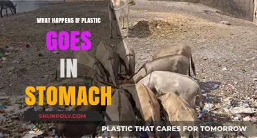 Plastic Ingestion: A Dangerous Health Risk