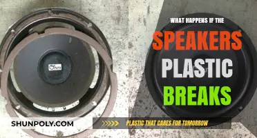 Speaker Plastic Damage: What to Do?