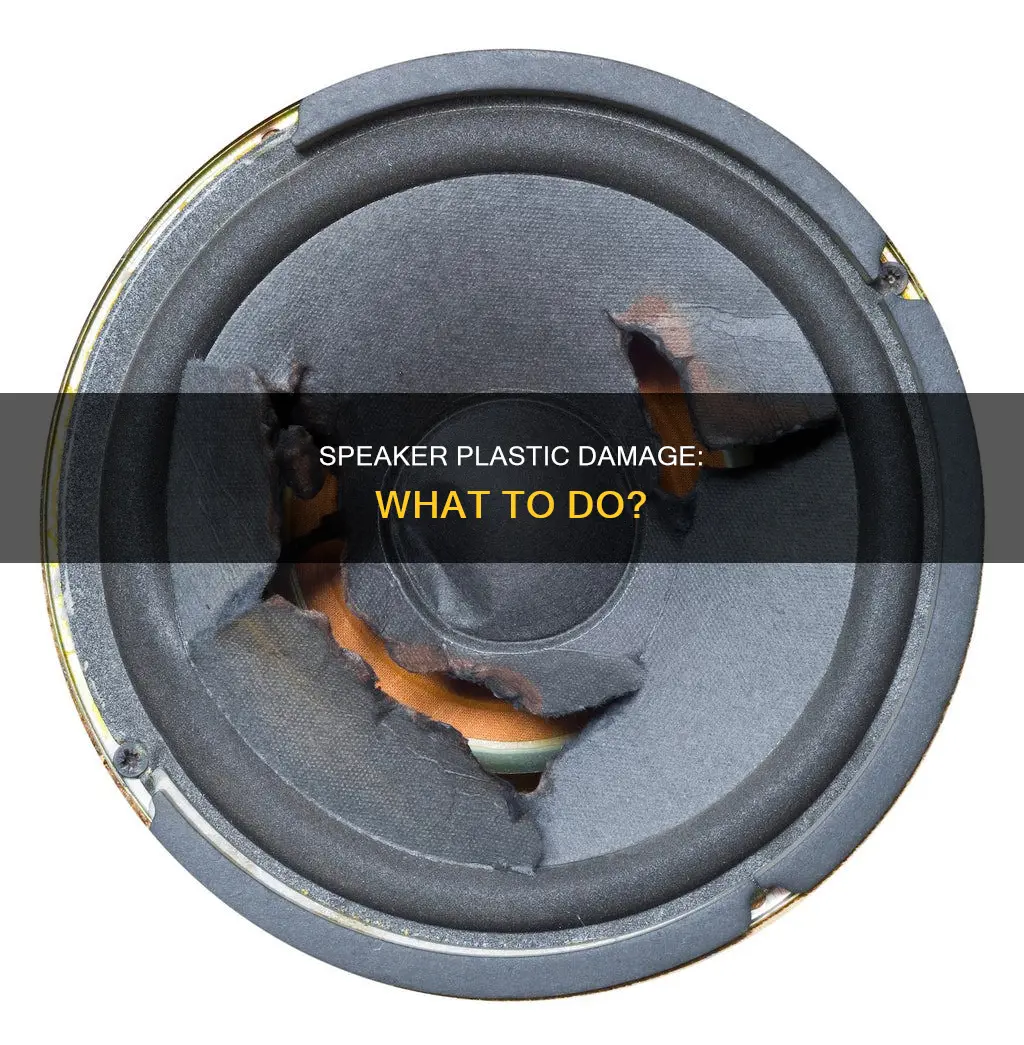 what happens if the speakers plastic breaks