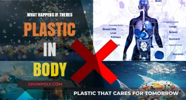 Plastic in the Body: A Toxic Threat