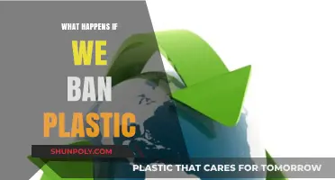 A World Without Plastic: Exploring the Impact of a Ban