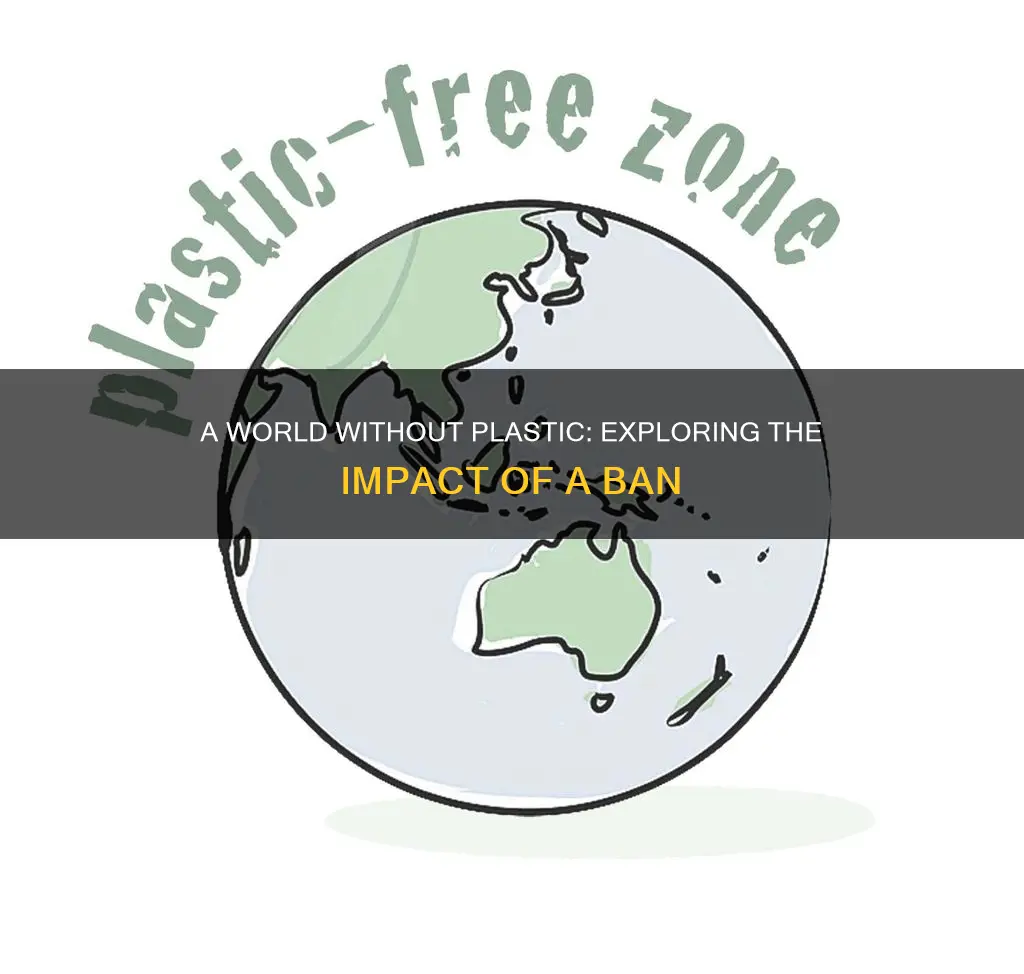 what happens if we ban plastic