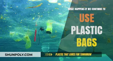 The Devastating Impact of Persistent Plastic Bag Usage on Our Planet