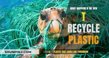 The Dark Truth of Not Recycling Plastic