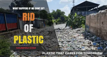 The Devastating Consequences of Ignoring Plastic Pollution Crisis