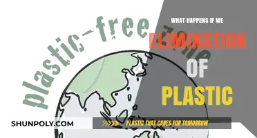 A World Without Plastic: Benefits and Challenges