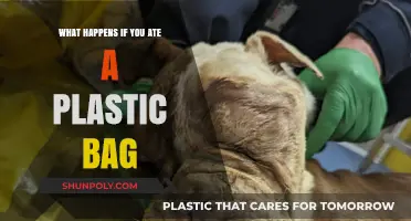 Accidentally Ate Plastic? Here’s What Happens to Your Body
