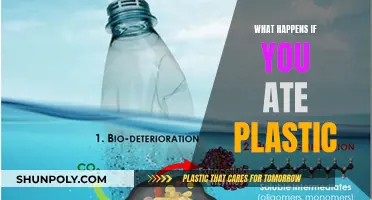 Plastic Ingestion: A Health Hazard and Its Consequences