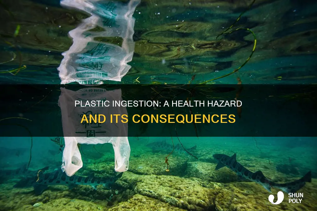 what happens if you ate plastic