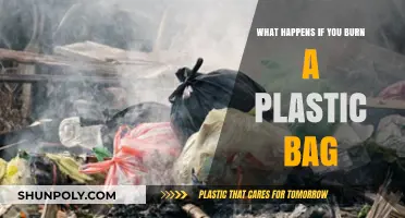 Burning Plastic Bags: Toxic Fumes, Environmental Impact, and Health Risks Explained