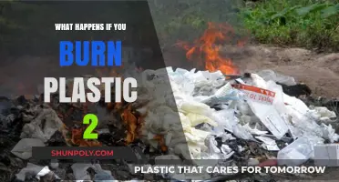 Burning Plastic: Understanding the Devastating Impact on Our Health and Environment