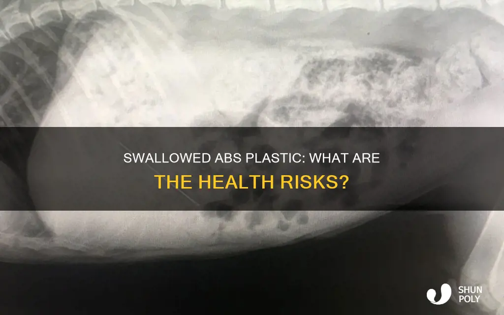 what happens if you swallow abs plastic