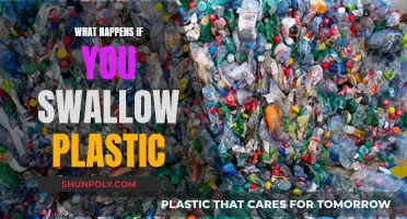 The Danger of Swallowing Plastic: Toxic Journey Inside You