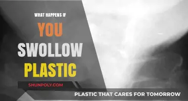 Plastic Ingestion: Its Impact on Human Health