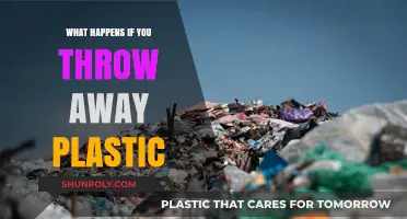 Plastic Pollution: The Impact of Throwing Away Plastic