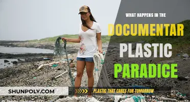 Plastic Paradise: The Dark Side of Synthetic Seas