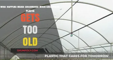 Aging Greenhouse Plastic: Effects on Plant Health and Climate Control
