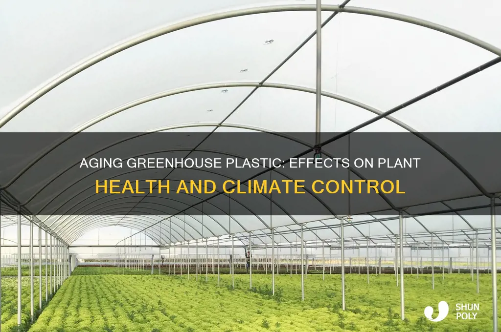 what happens inside greenhouse when greenhouse plastic gets too old