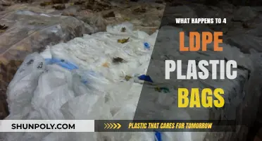 The Journey of Four LDPE Bags: From Use to Disposal