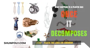 Plastic Bag Decomposition: Unveiling the Environmental Impact and Aftermath