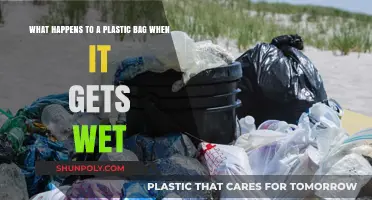 Wet Plastic Bags: Their Behavior, Environmental Impact, and Decomposition Process