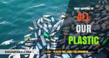 The Fate of Plastic: Where Does It Go?