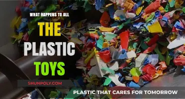 The Dark Fate of Plastic Toys