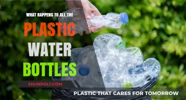 Where Do Plastic Water Bottles Go? Uncovering Their Environmental Journey