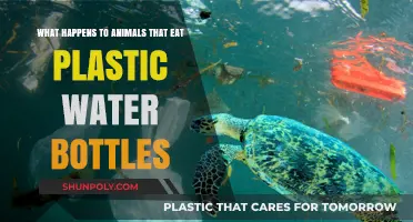 Deadly Consequences: How Plastic Water Bottles Harm Animals