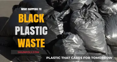 The Dark Side of Plastic Waste