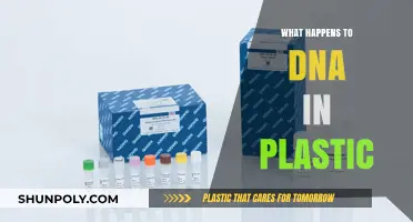 Plastic Pollution: DNA's Fate and Impact