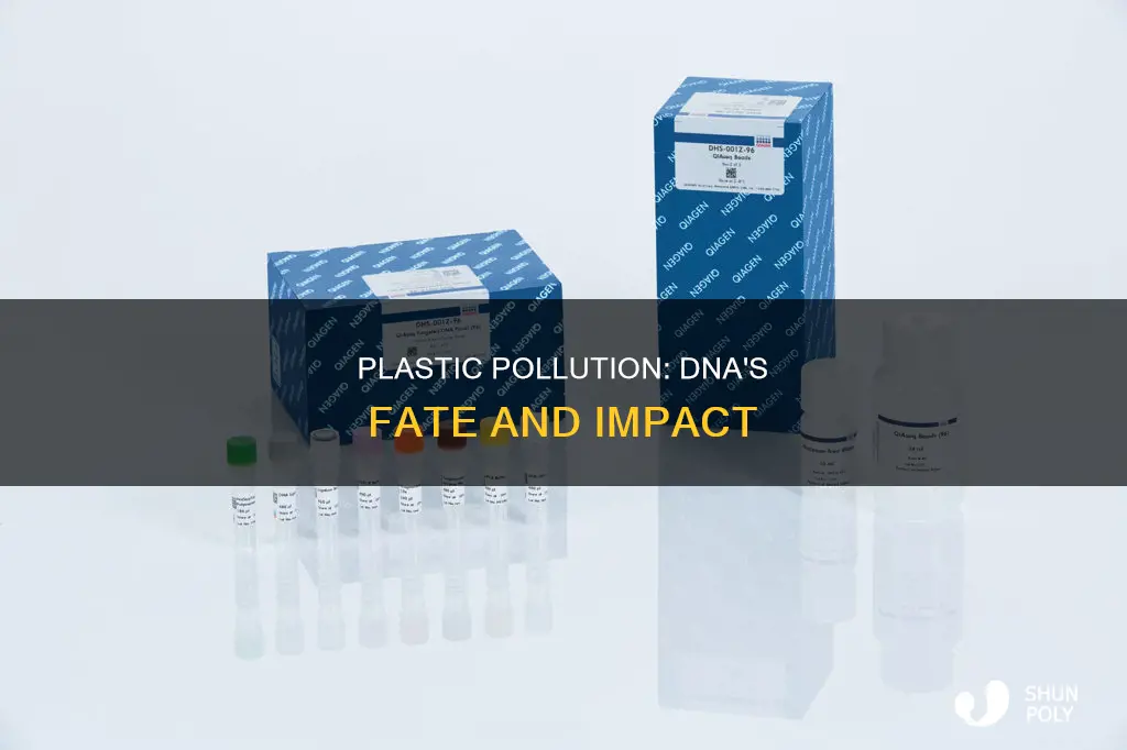 what happens to dna in plastic