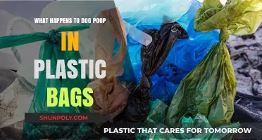 Dog Poop in Plastic Bags: Environmental Impact and Sustainable Alternatives