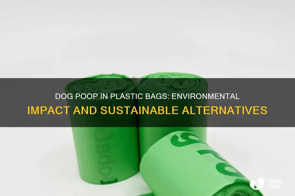 what happens to dog poop in plastic bags