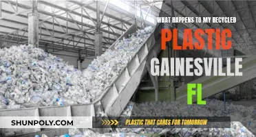Gainesville FL: Where Does Recycled Plastic Go?