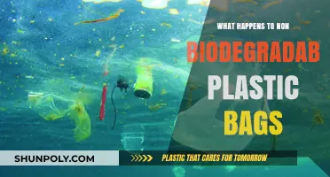 The Environmental Impact of Non-Biodegradable Plastic Bags: A Breakdown