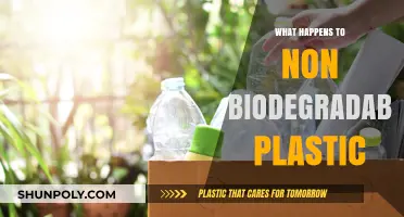 The Dark Fate of Non-Biodegradable Plastics
