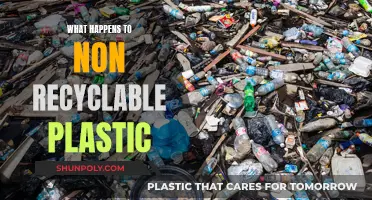 The Dark Fate of Non-Recyclable Plastics