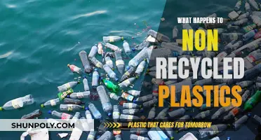 The Dark Fate of Non-Recycled Plastics