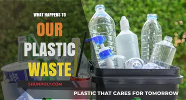 Where Does Plastic Waste Go?