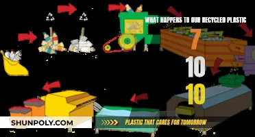 Where Does Our Recycled Plastic Go?