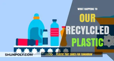 Where Does Our Recycled Plastic Go?
