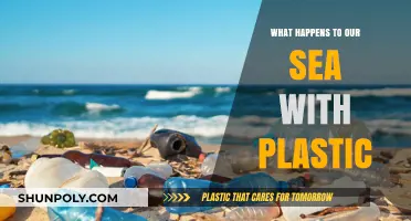 Plastic Pollution: Our Sea's Slow Death