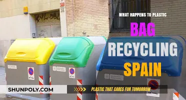 Spain's Plastic Bag Recycling: Process, Challenges, and Environmental Impact