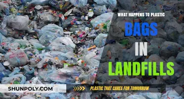 The Hidden Impact: Plastic Bags' Long-Lasting Legacy in Landfills