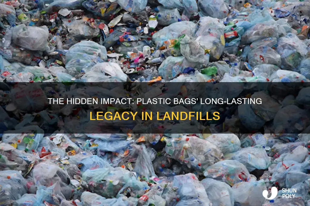 what happens to plastic bags in landfills