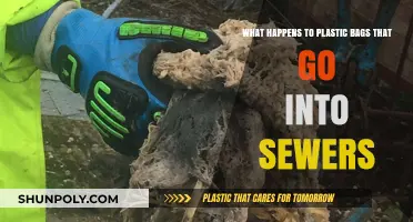 Plastic Bags in Sewers: Environmental Impact and Consequences Explained