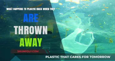 The Hidden Journey of Discarded Plastic Bags: From Trash to Impact
