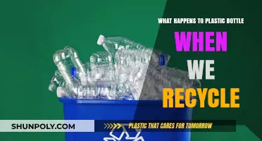 Recycling Plastic Bottles: Journey from Waste to New Products Explained